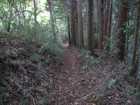 20151014hike (348)
